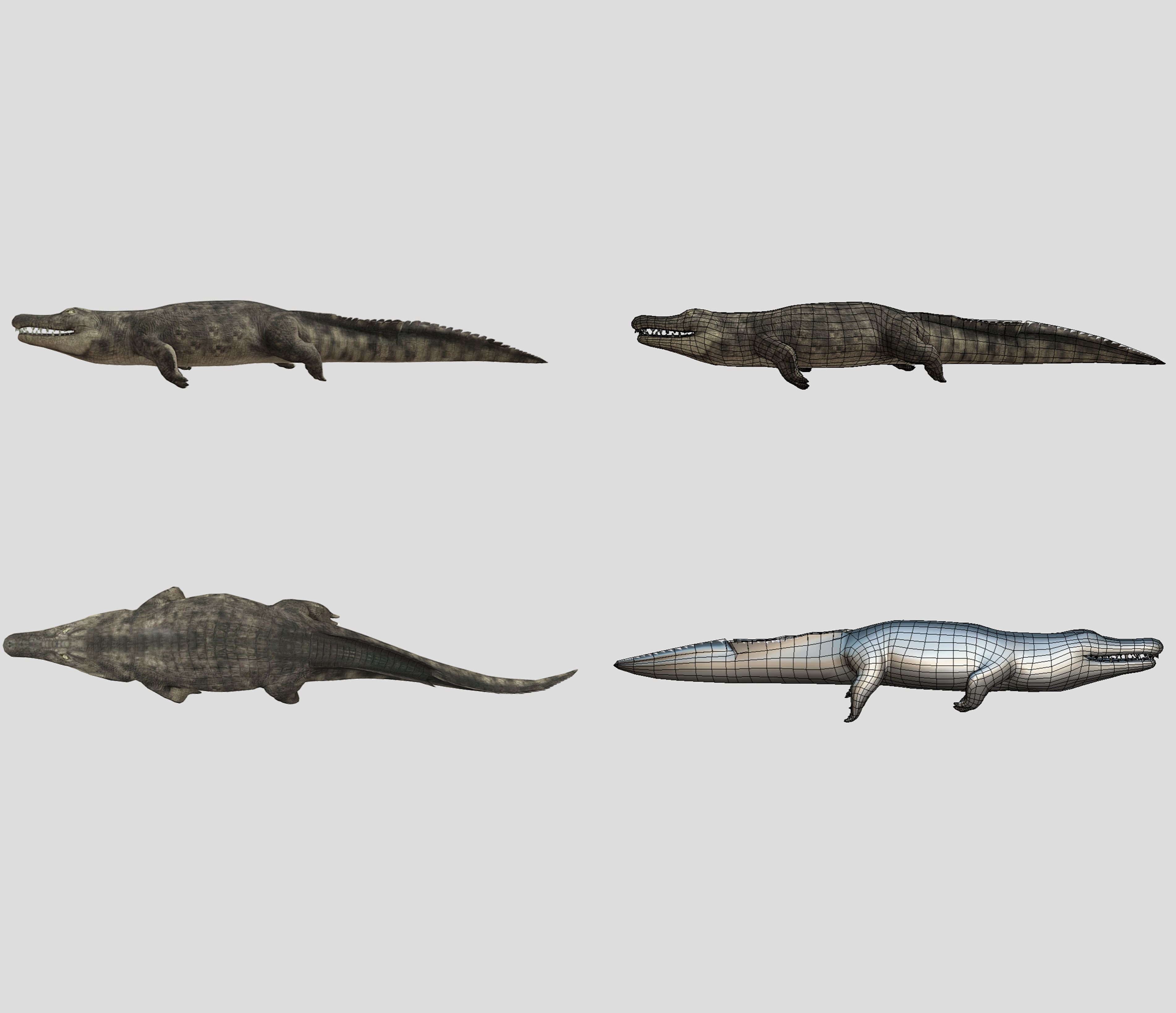 Fish Collection Animated - Game Ready Pack 5 Low-poly 3D model_27