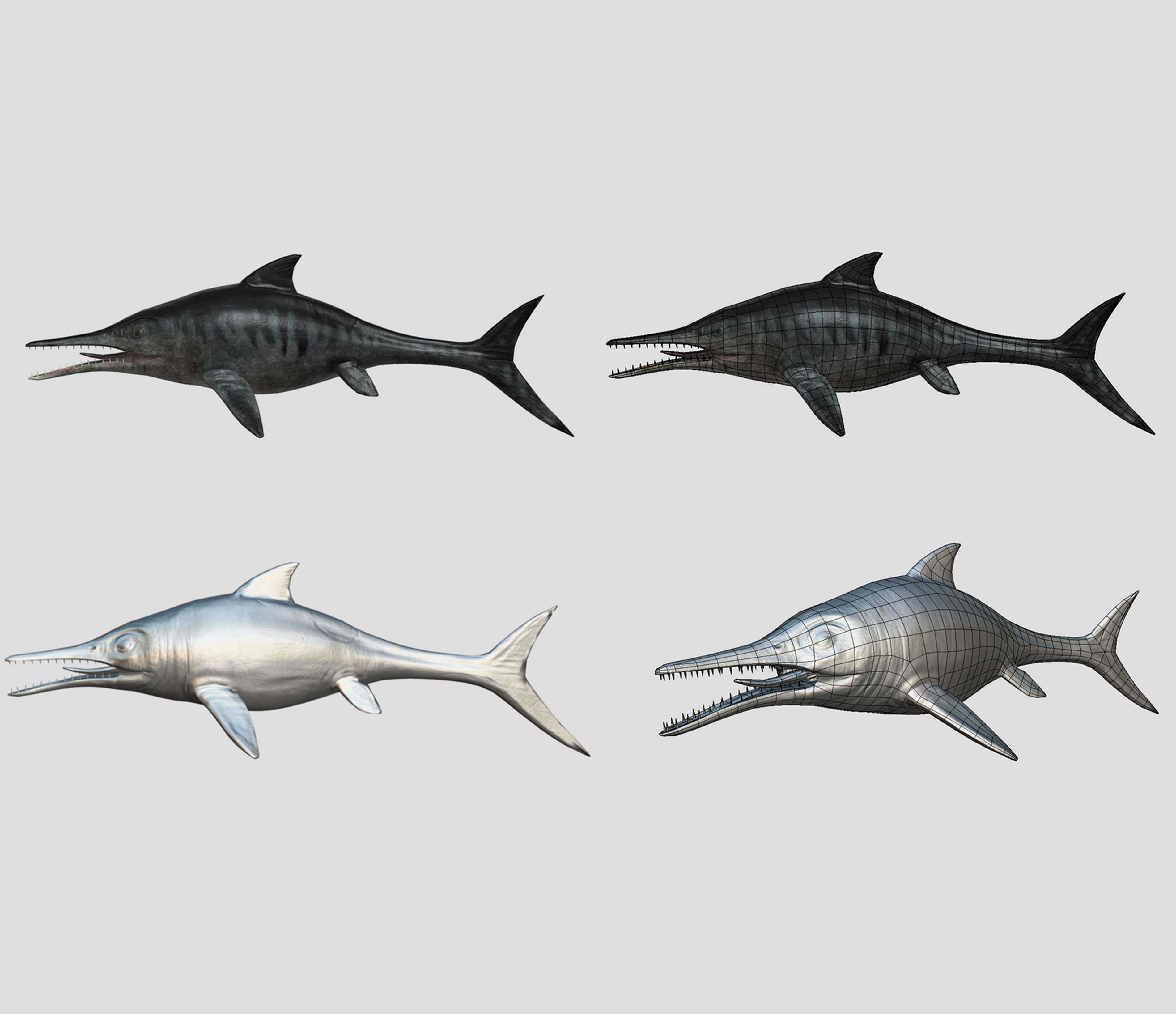 Fish Collection Animated - Game Ready Pack 5 Low-poly 3D model_26