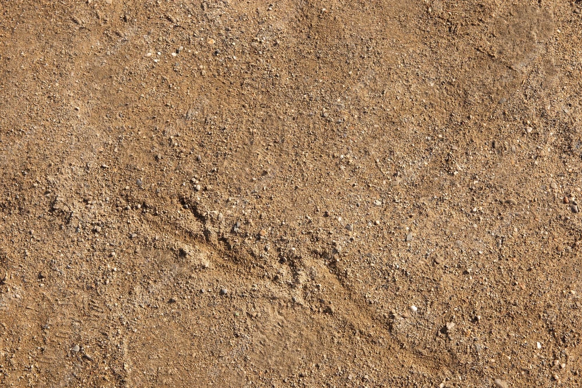 Submarine at the bottom of the sea 3D model_10