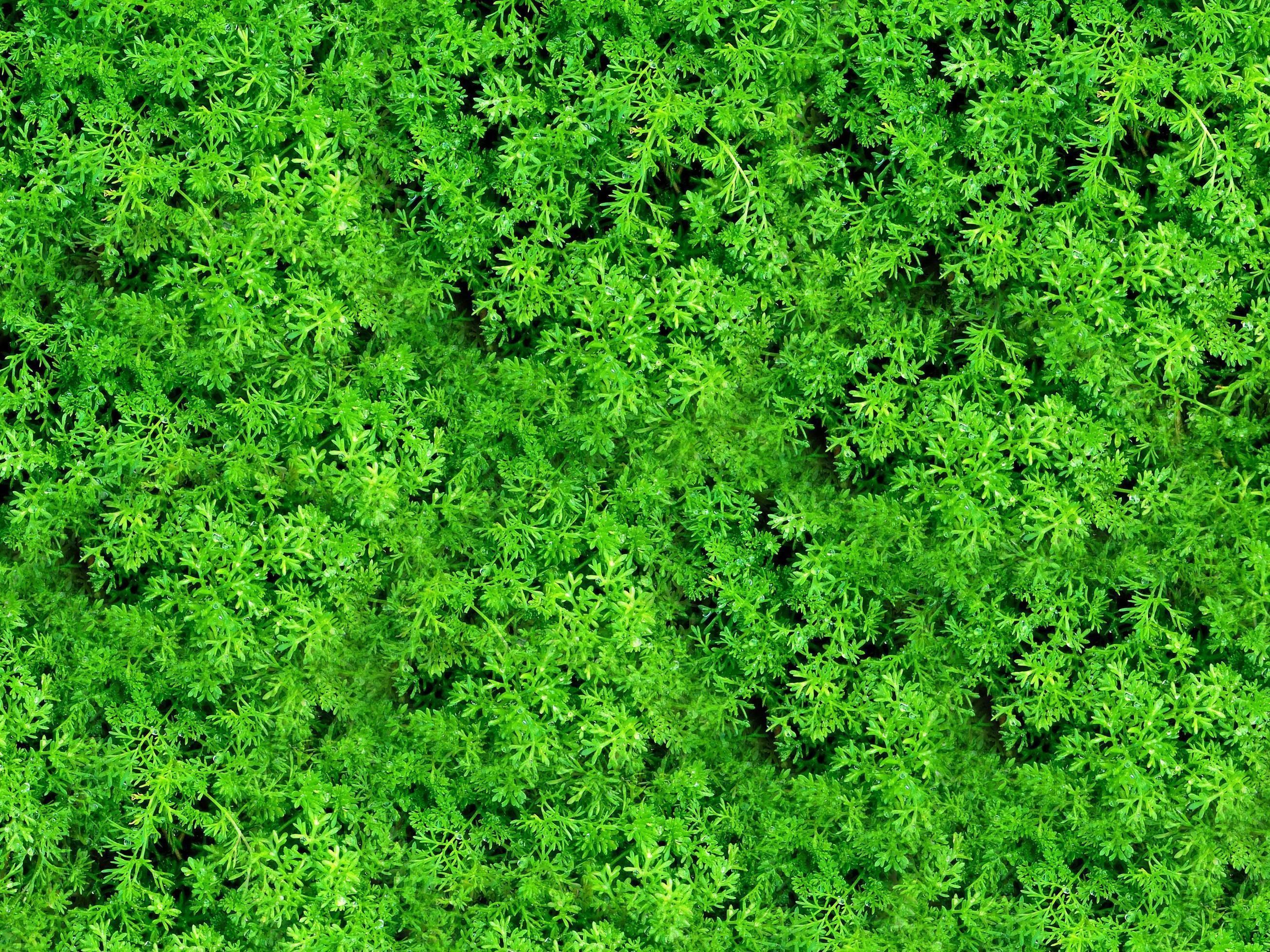 Submarine at the bottom of the sea 3D model_8