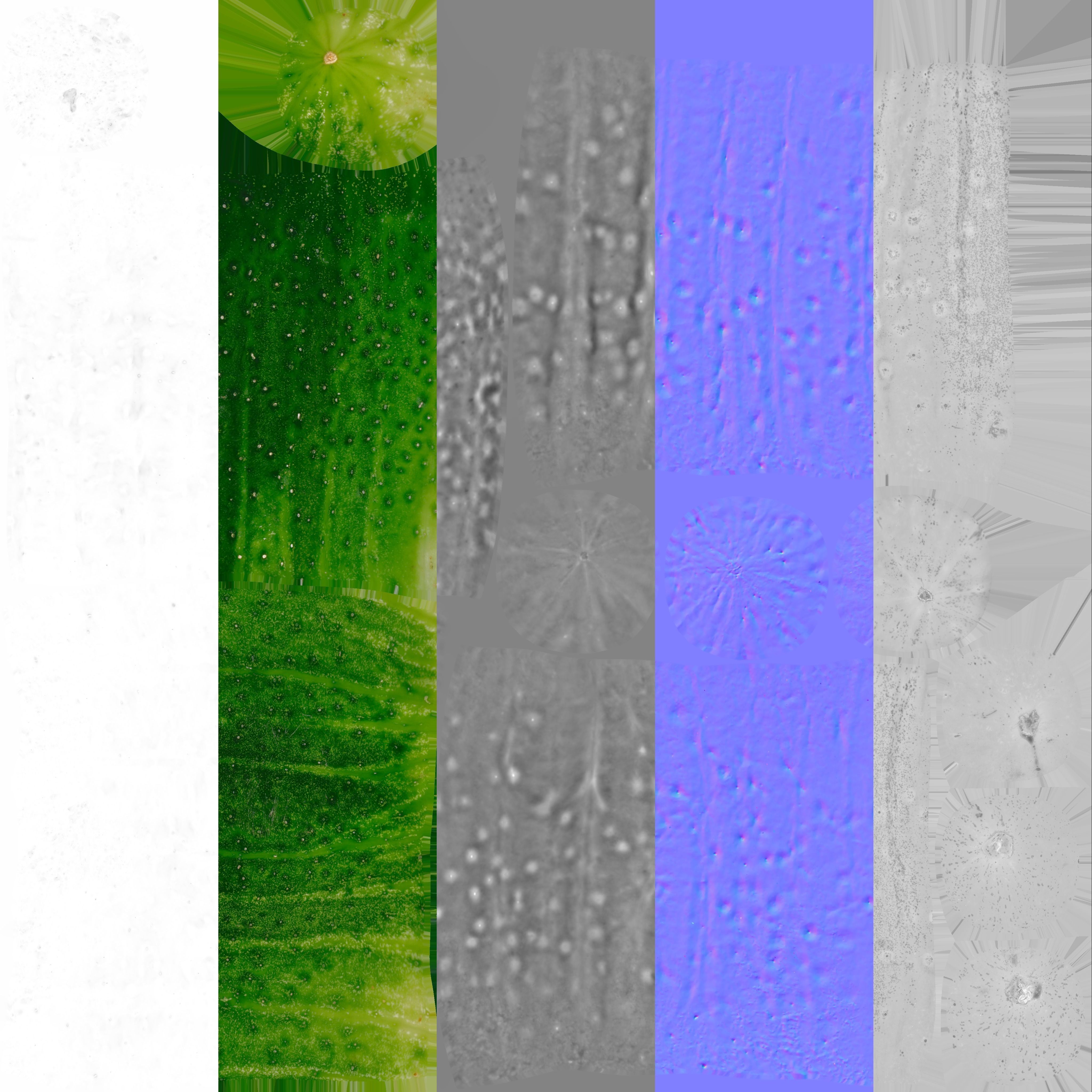 Cucumbers Set of 4 - Photogrammetry Scan Low-poly 3D model_9