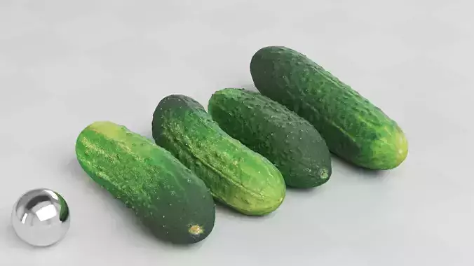 Cucumbers Set of 4 - Photogrammetry Scan