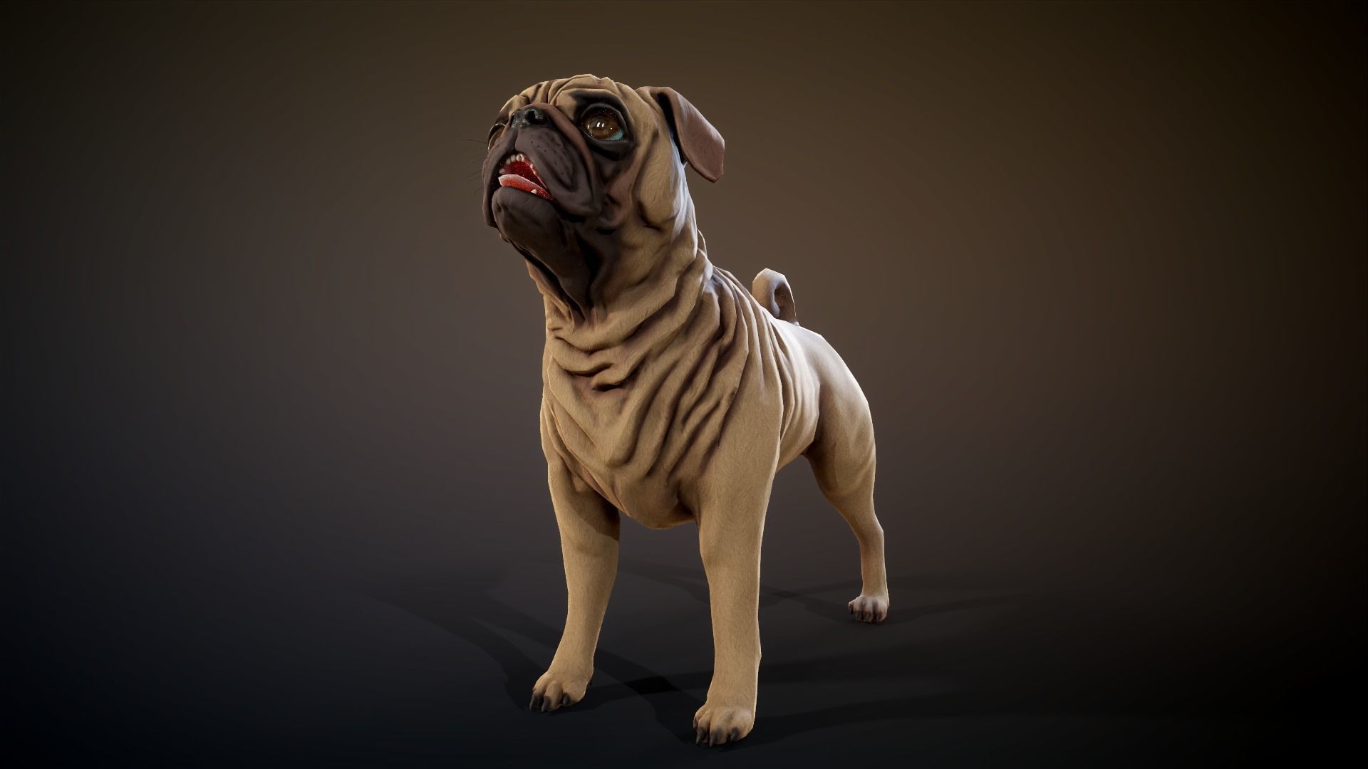Pug low-poly Low-poly 3D model_10