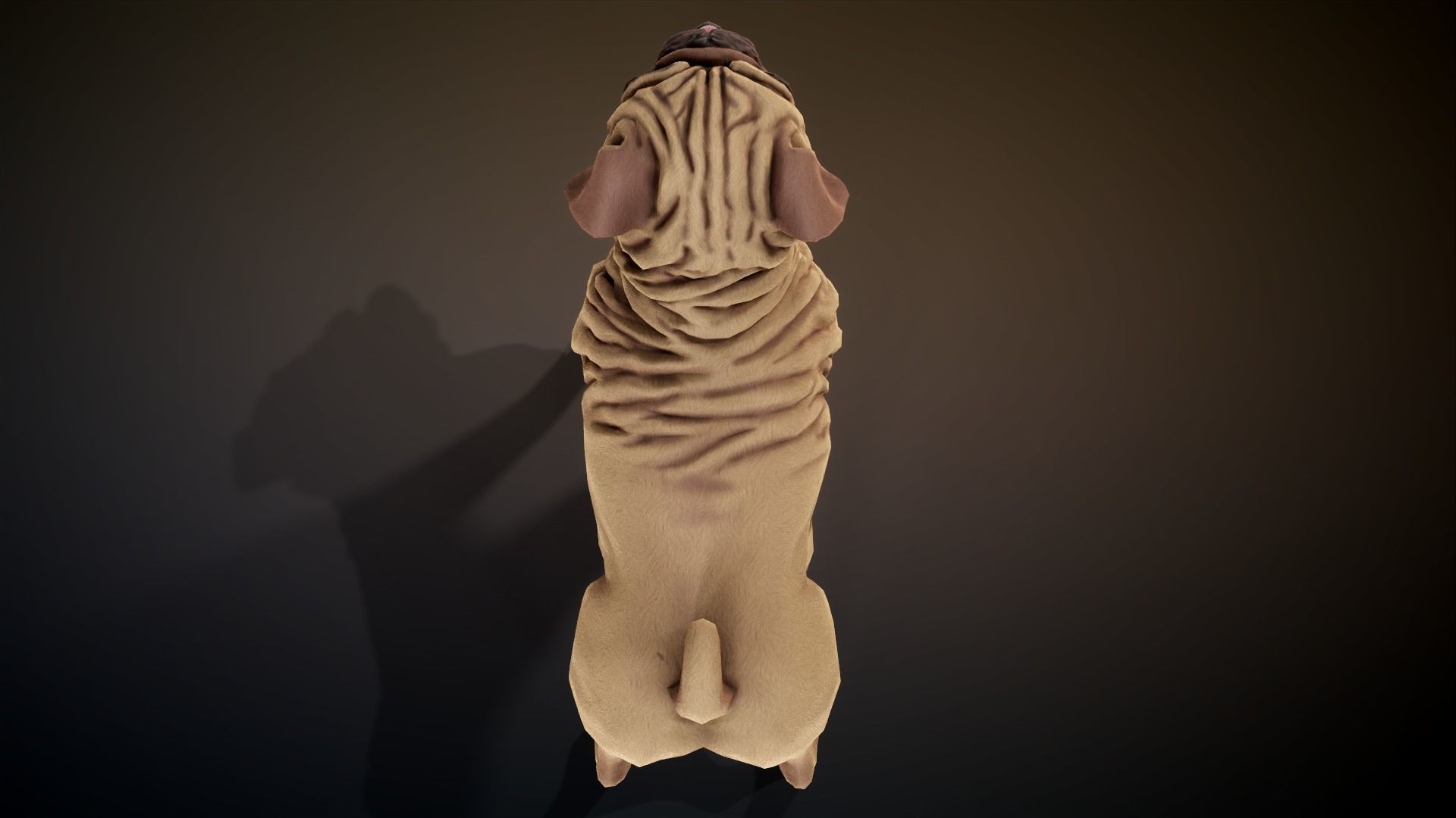 Pug low-poly Low-poly 3D model_15