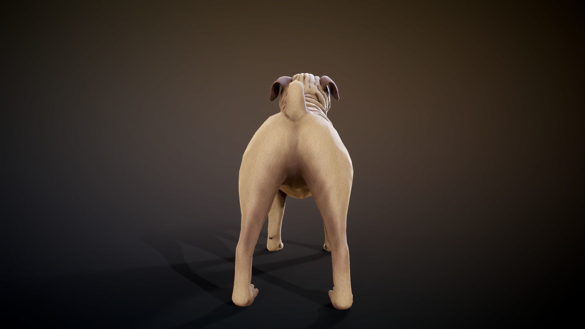 Pug low-poly Low-poly 3D model_7