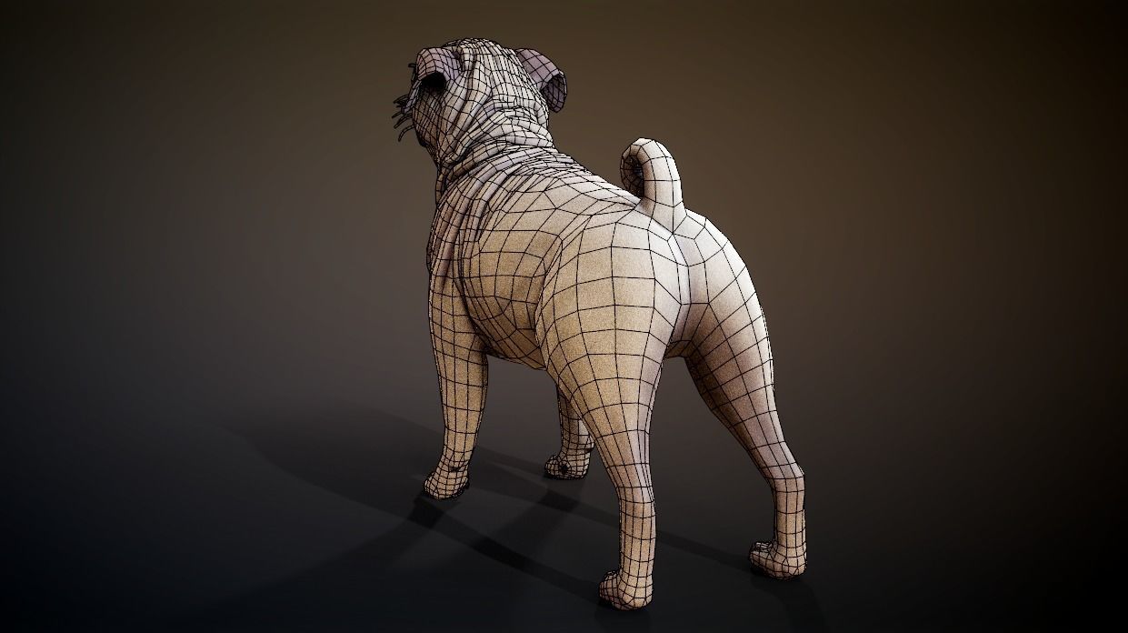 Pug low-poly Low-poly 3D model_12