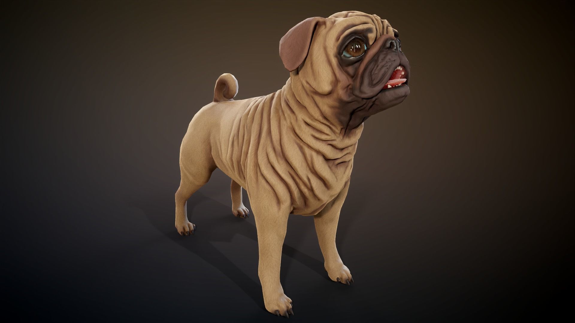 Pug low-poly Low-poly 3D model_4