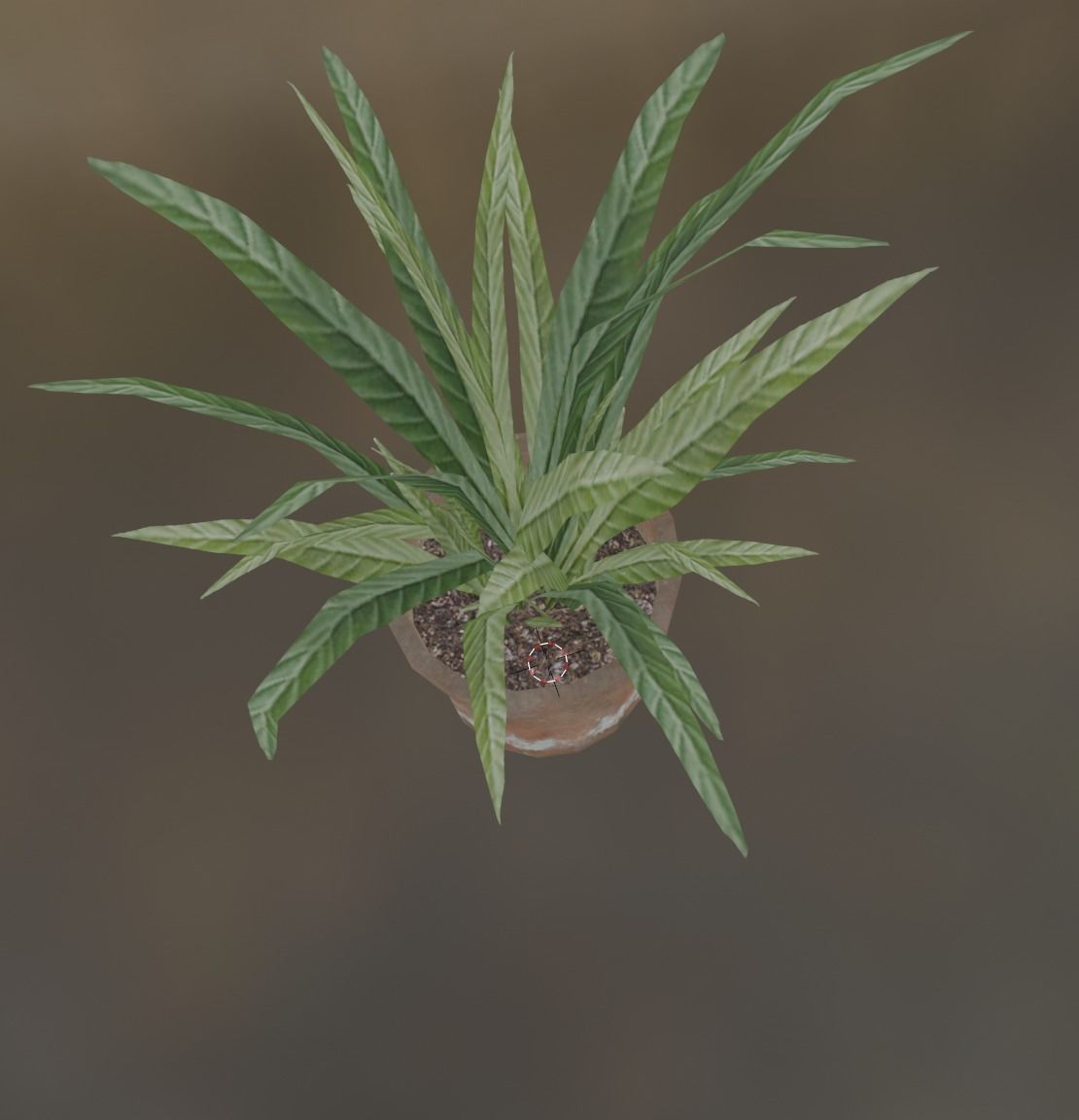 potted plant Low-poly 3D model_2