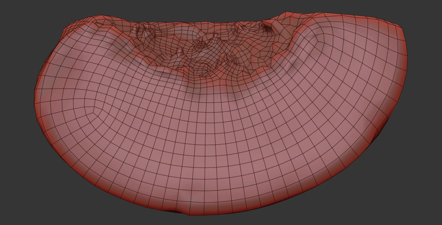 Nectarine 3D model_6