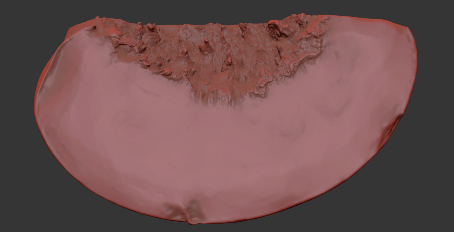 Nectarine 3D model_7