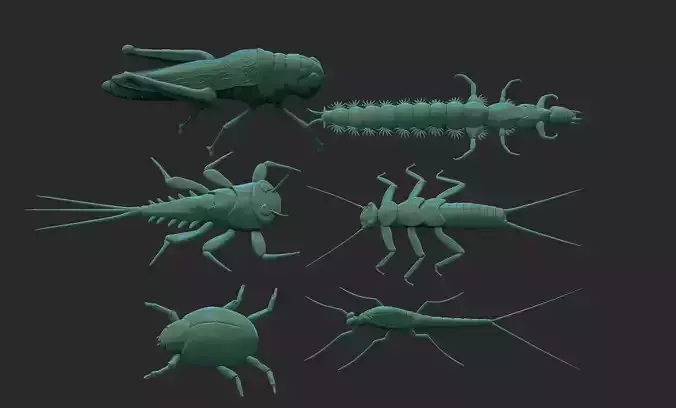 insects collection 3D print model