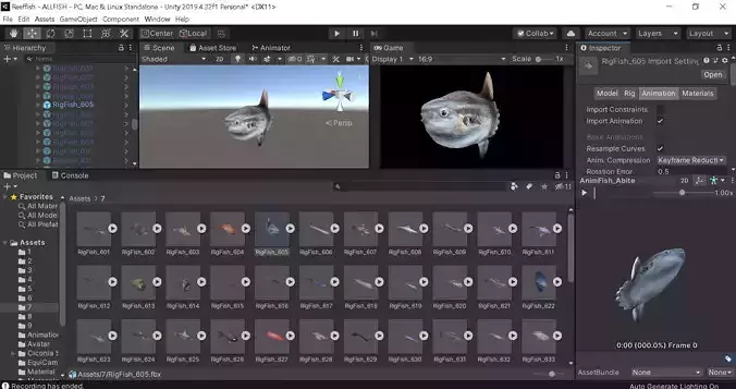 Unity Game Ready Pack - Low poly  Rif Fish Collection Animated 3D model