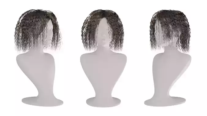 Realistic Woman curly Hair