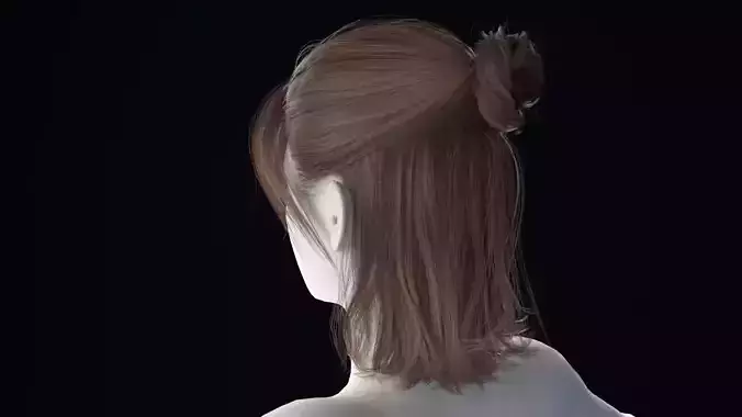 Realistic Female Hair