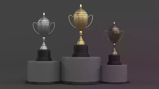 Trophy Cups