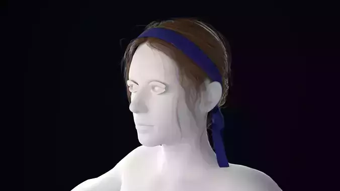 Realistic Female Hair