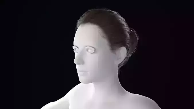 Realistic Female Hair