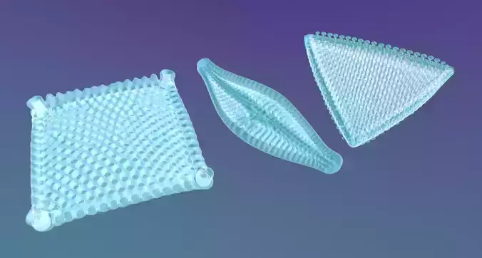 Diatom Multipack 