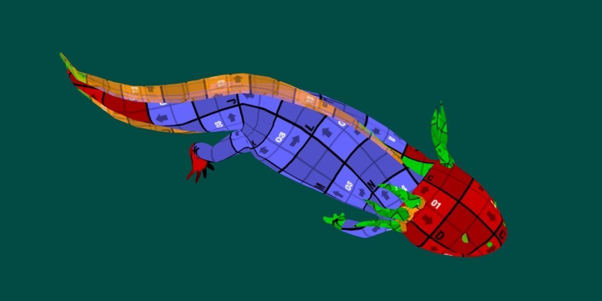 Axolotl Low-poly 3D model_7