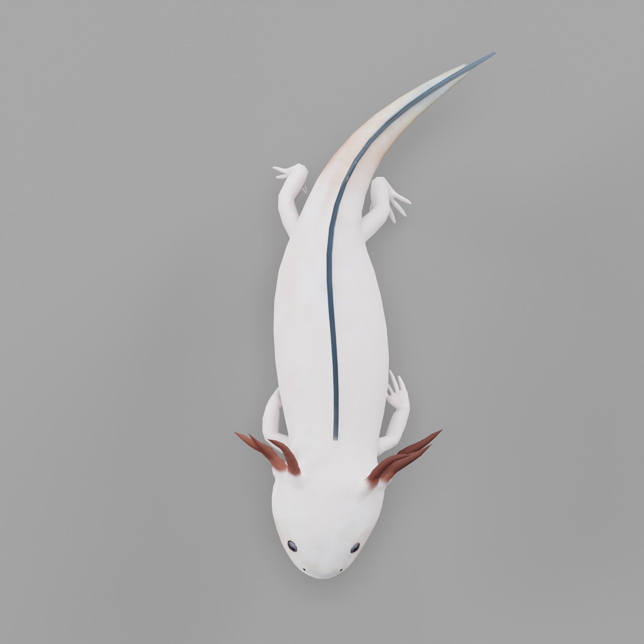 Axolotl Low-poly 3D model_21