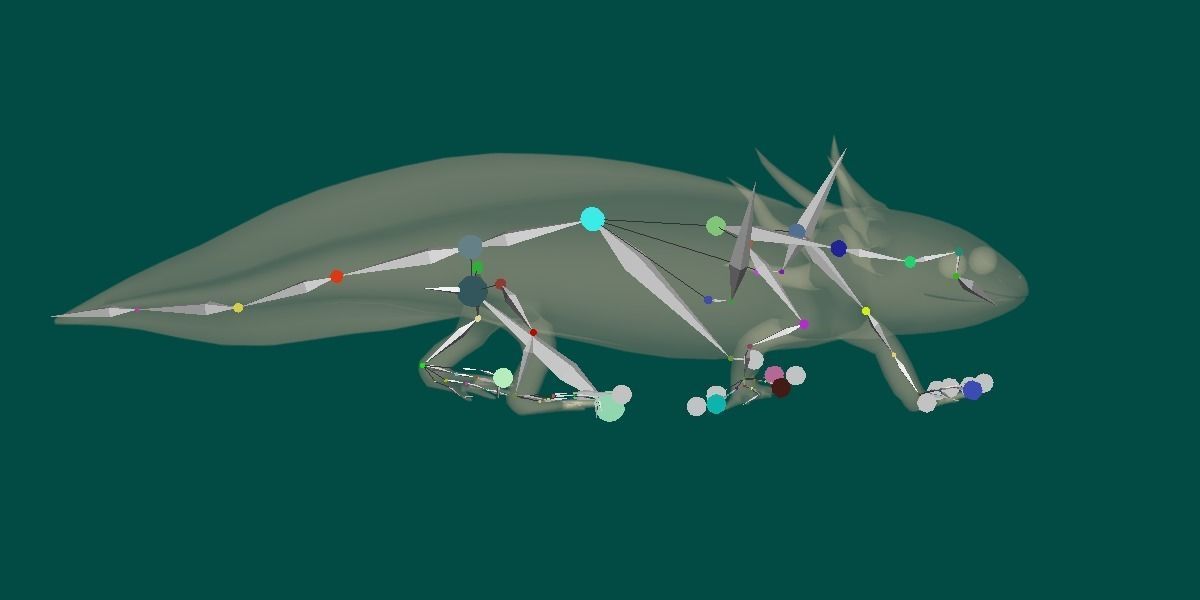 Axolotl Low-poly 3D model_2