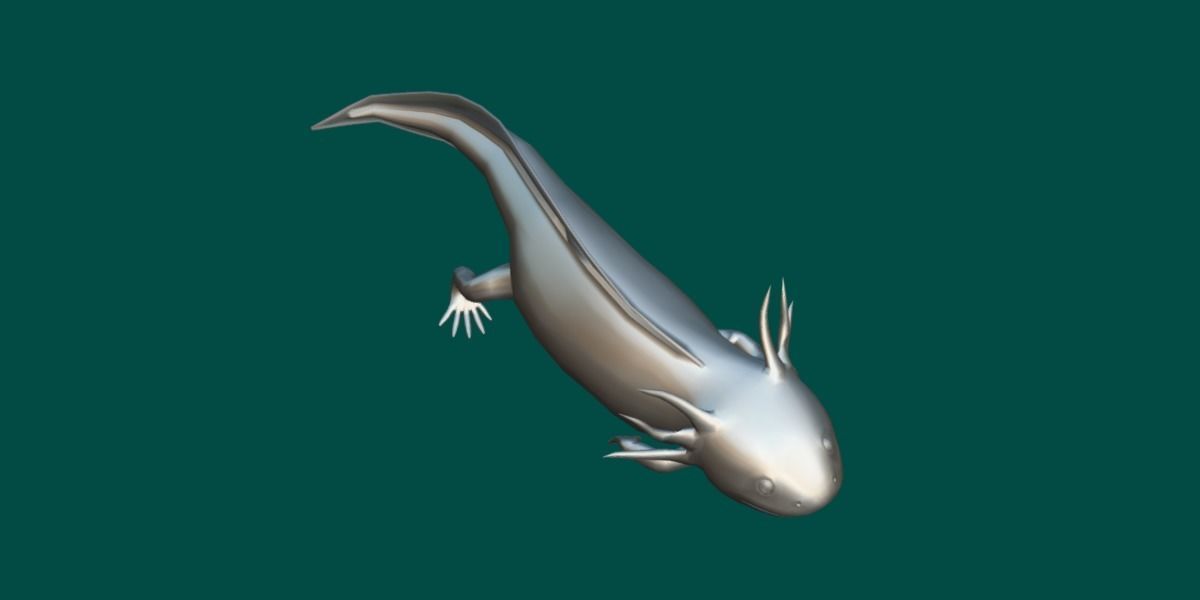 Axolotl Low-poly 3D model_16