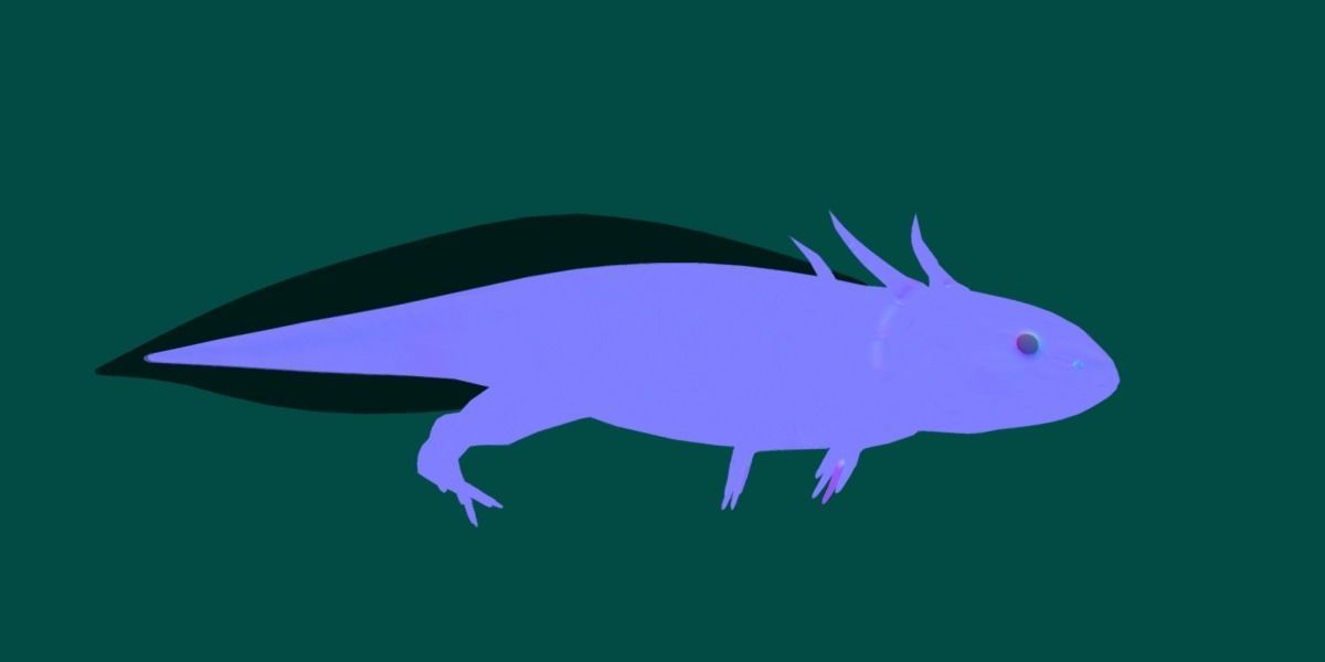 Axolotl Low-poly 3D model_13