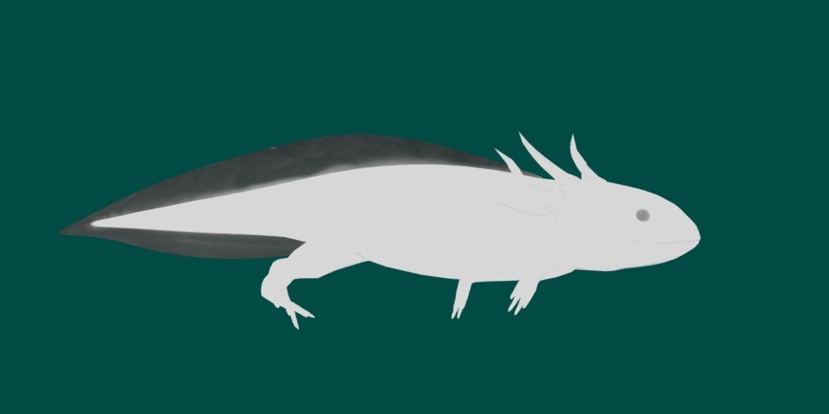 Axolotl Low-poly 3D model_12