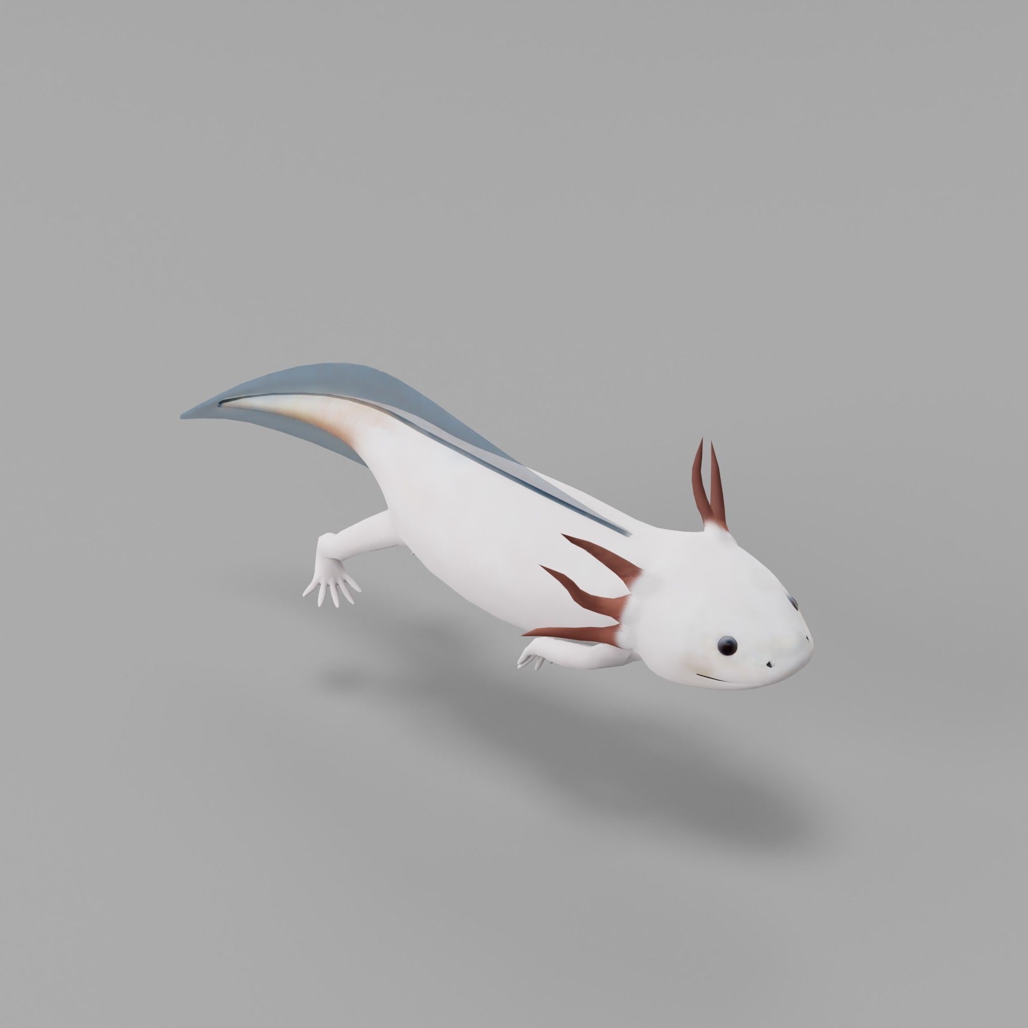 Axolotl Low-poly 3D model_18