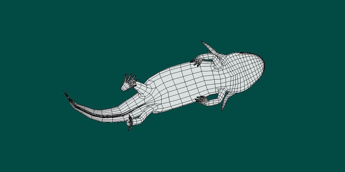Axolotl Low-poly 3D model_4