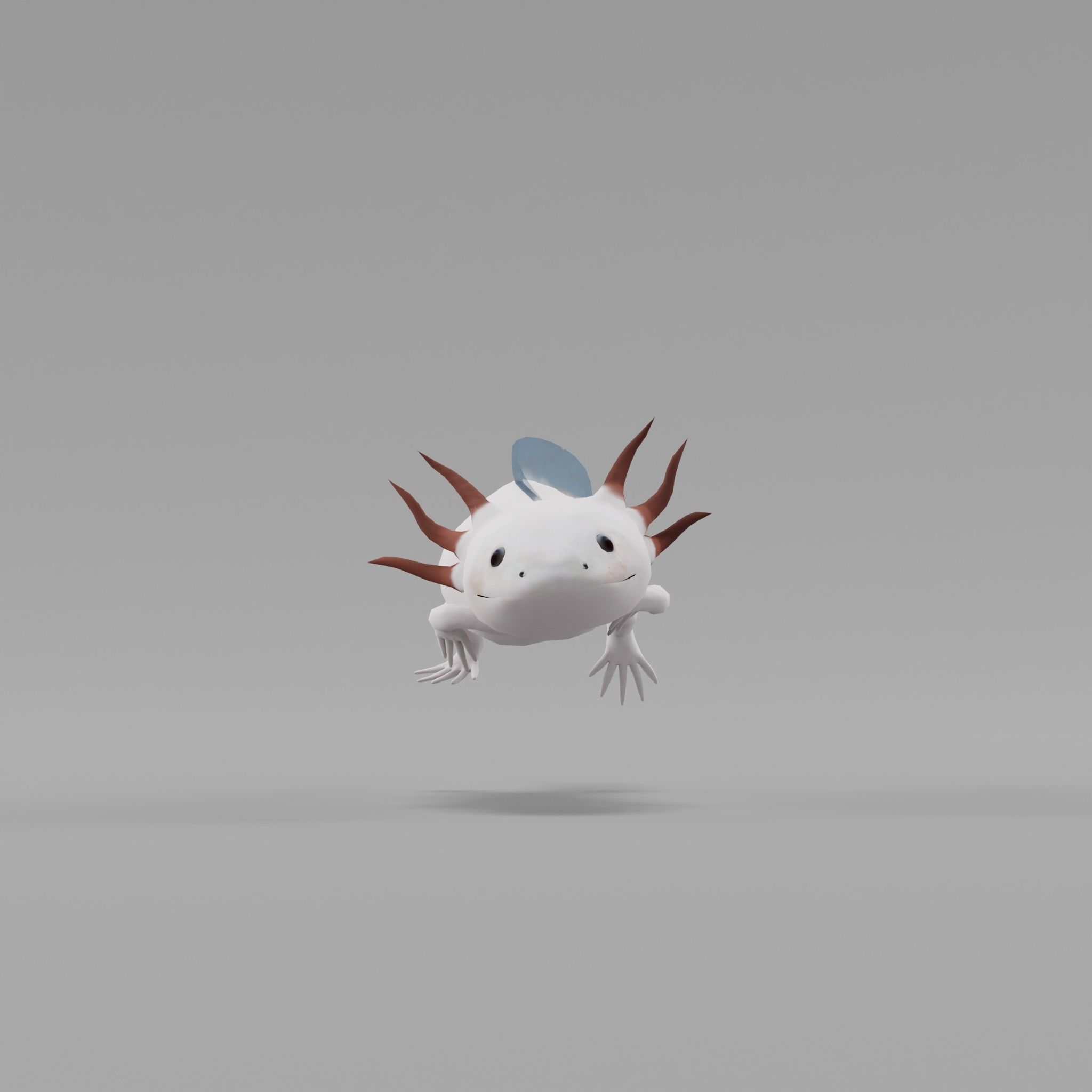 Axolotl Low-poly 3D model_19