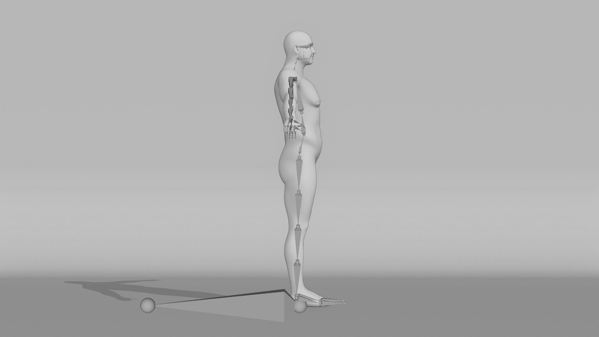 Realistic Male - Barry 3D model_12