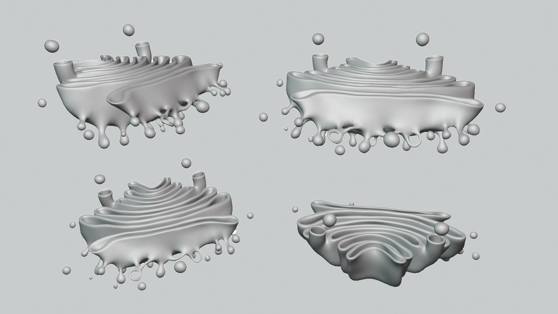 Golgi Apparatus Anatomy Low-poly 3D model_4