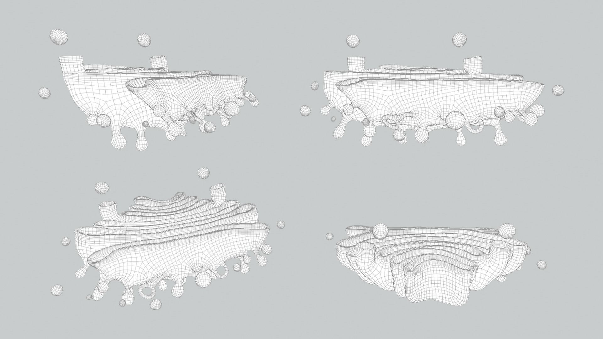 Golgi Apparatus Anatomy Low-poly 3D model_11
