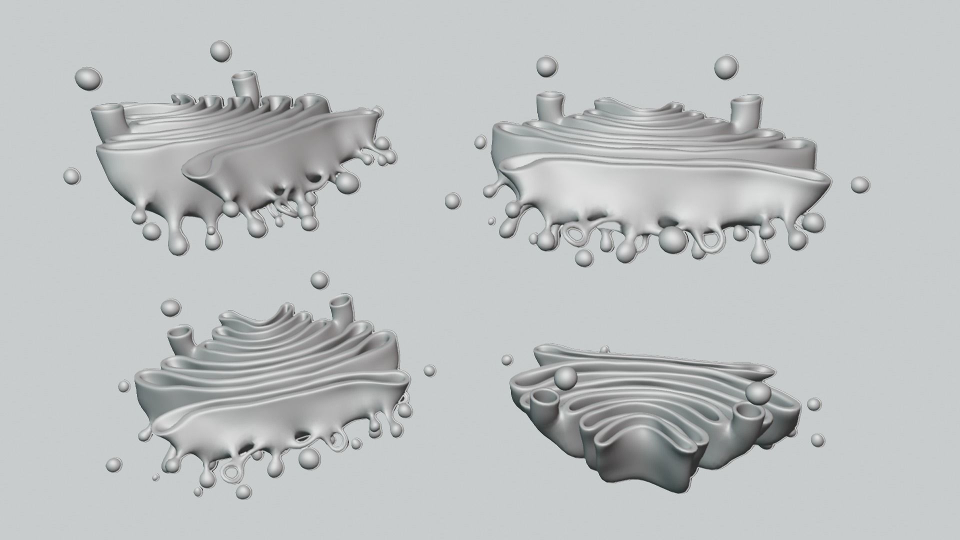 Golgi Apparatus Anatomy Low-poly 3D model_8