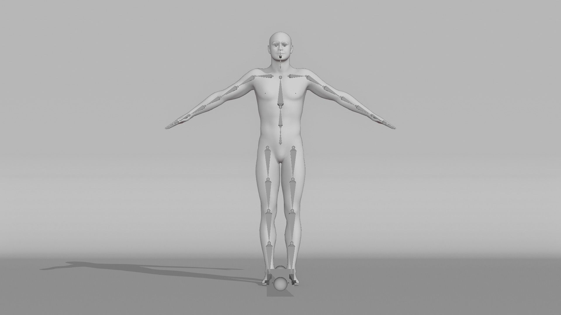 Realistic Male - Harold 3D model_11