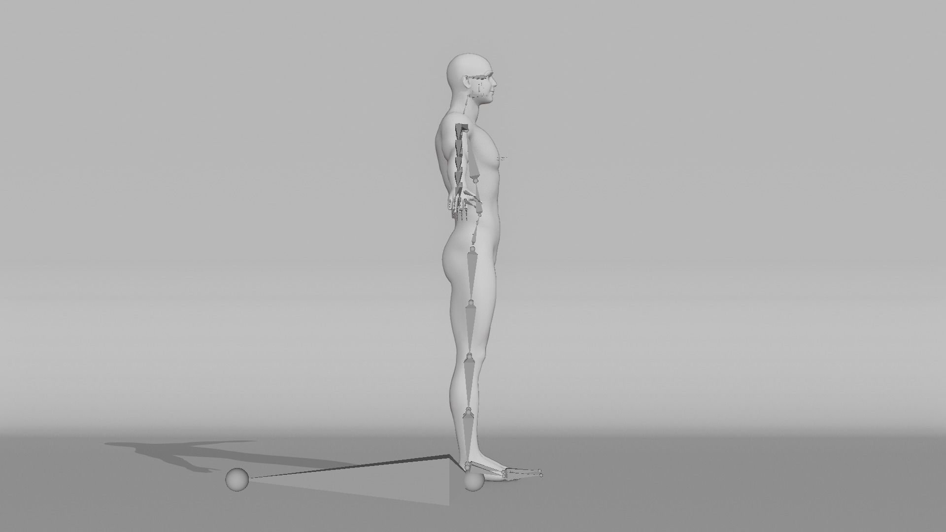 Realistic Male - Harold 3D model_12