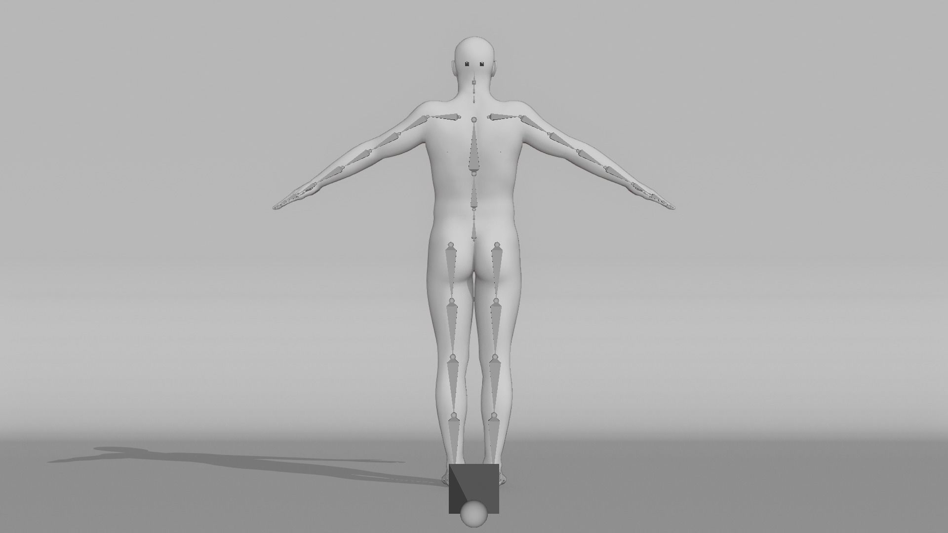 Realistic Male - Manny 3D model_13