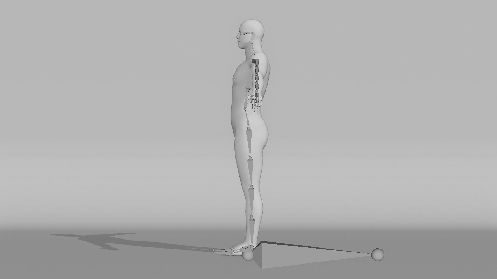 Realistic Male - Manny 3D model_14