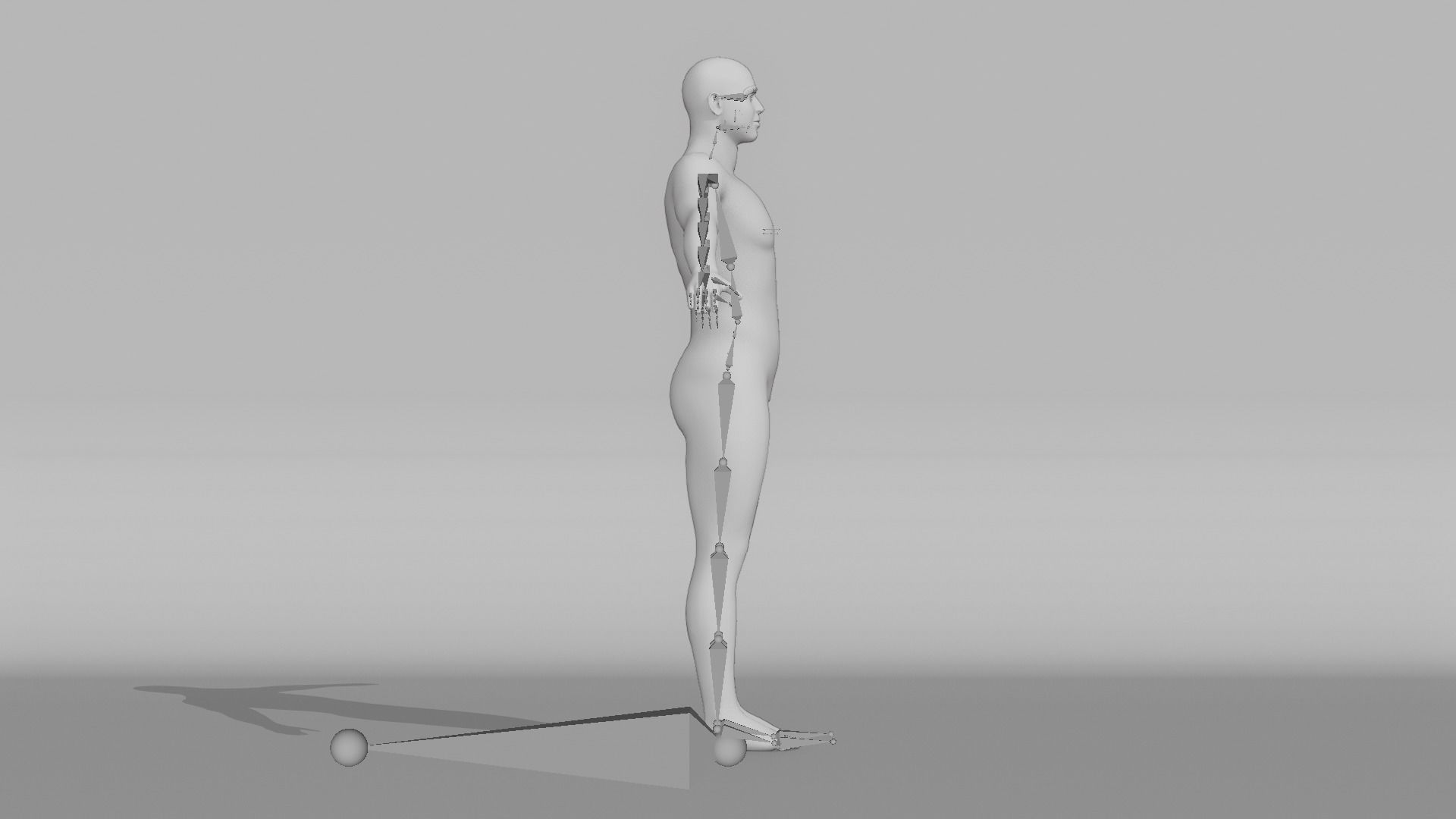 Realistic Male - Manny 3D model_12