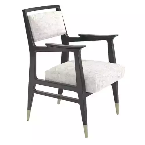 Anthony Lawrence Raphael Side Chair  3D model