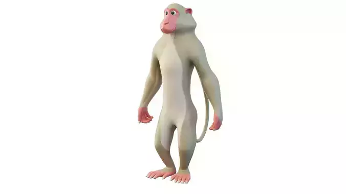 Cartoon Monkey Character