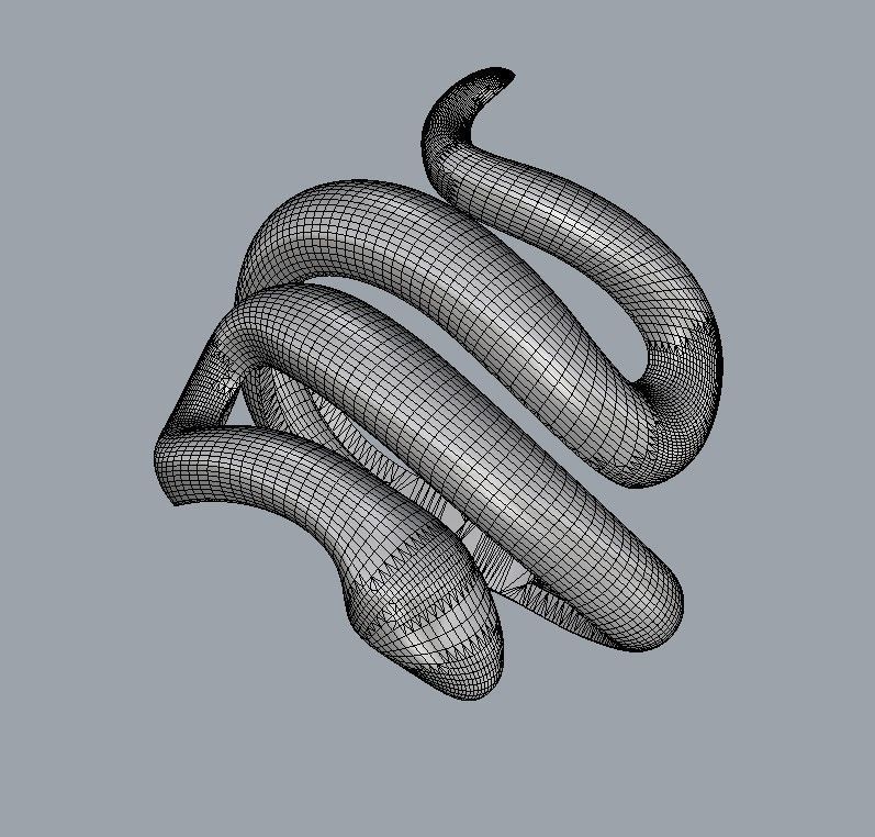 Snake Ring 3D print model_17
