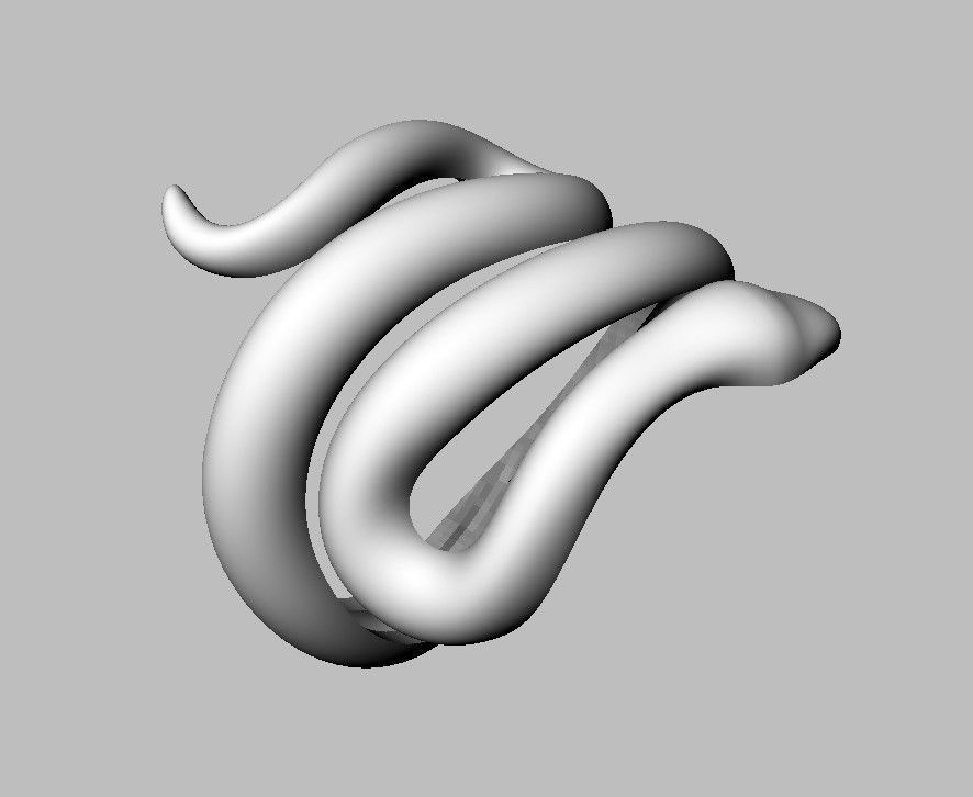 Snake Ring 3D print model_18