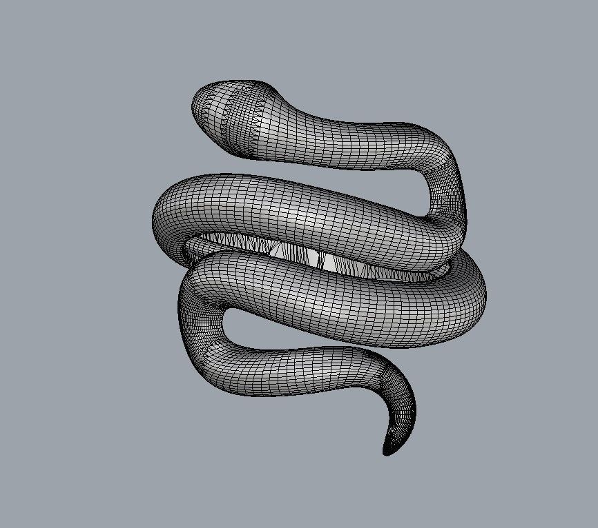 Snake Ring 3D print model_13