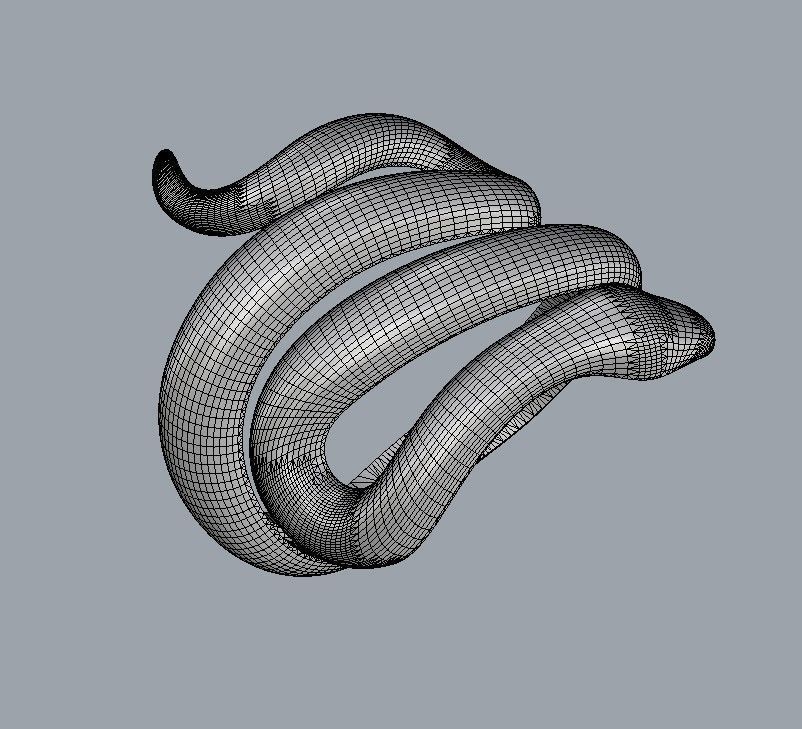Snake Ring 3D print model_15