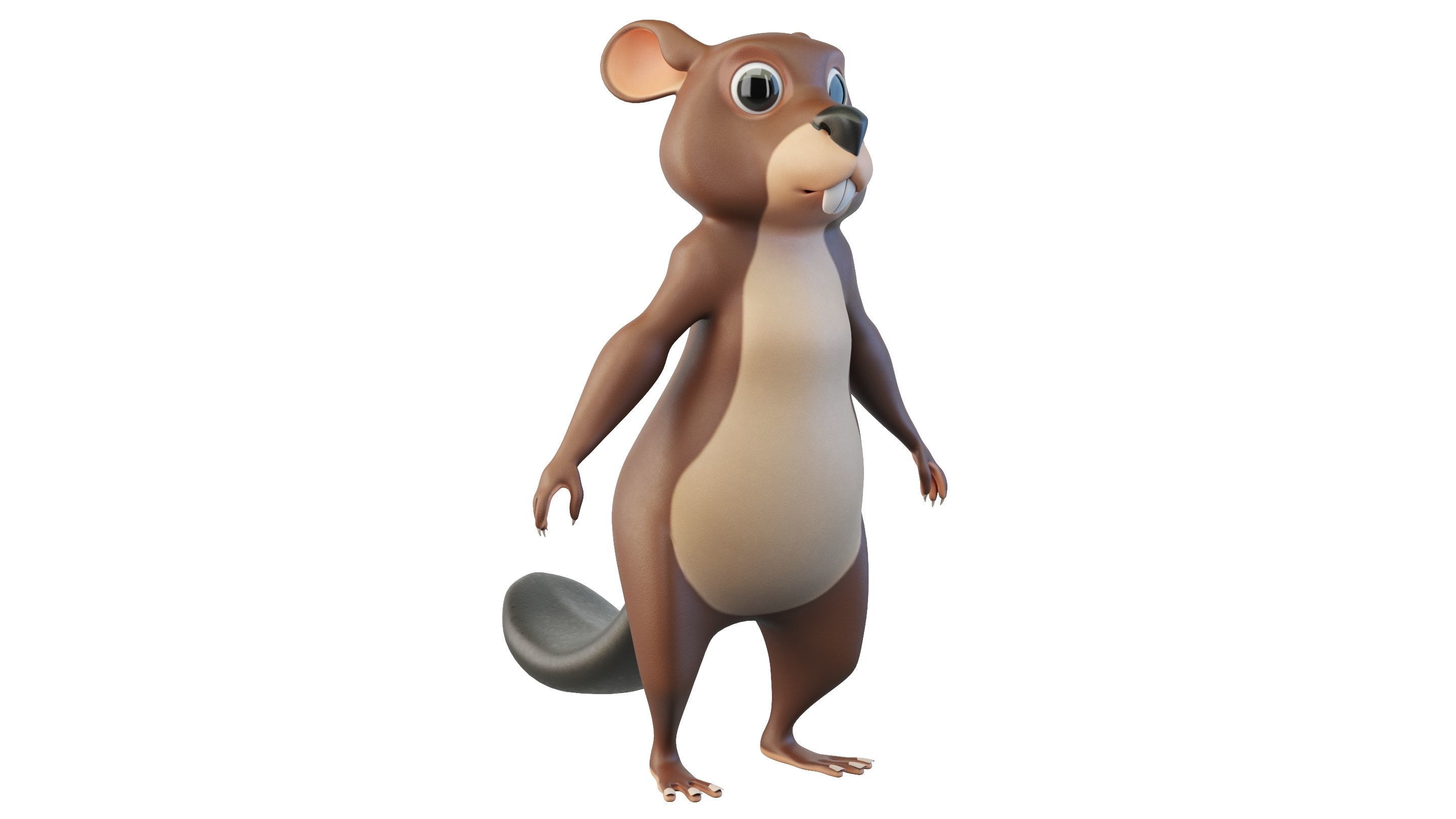 Cartoon Beaver Character 3D model_2
