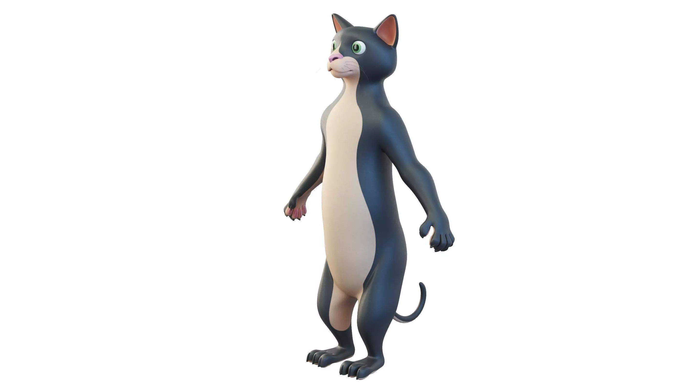 Cartoon Cat Character 3D model_0