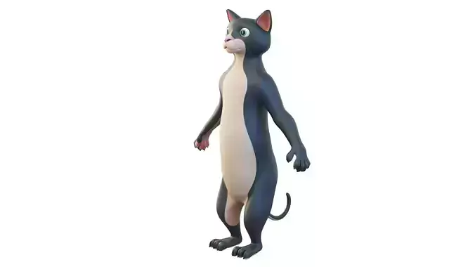 Cartoon Cat Character 3D model