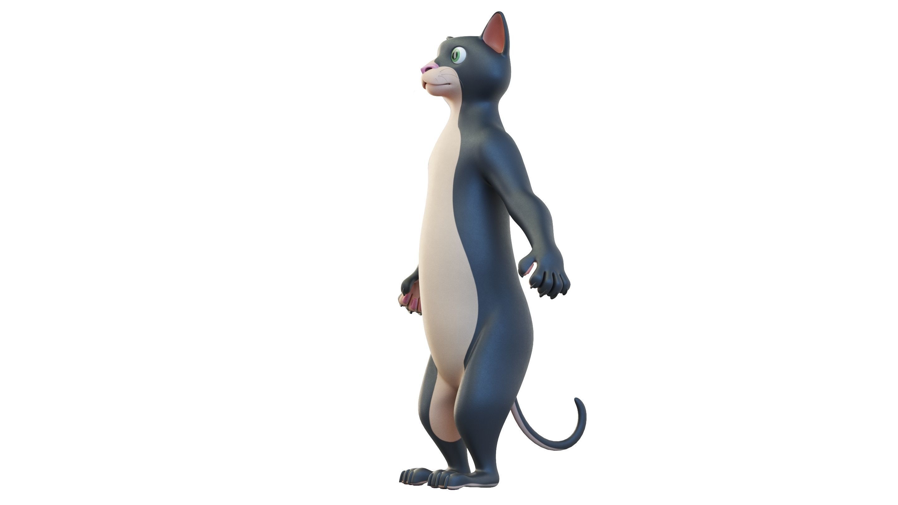 Cartoon Cat Character 3D model_8